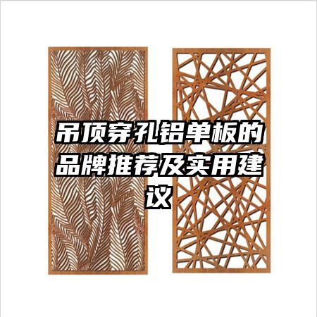 吊頂穿孔鋁單板的品牌推薦及實用建議